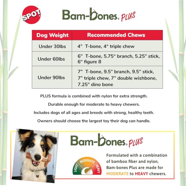 SPOT Bam-bones PLUS T Bone - Bamboo Fiber & Nylon, Durable Long Lasting Dog Chew for Aggressive Chewers – Great Toy for Adult Dogs & Teething Puppies under 60lbs, Non-Splintering, 6in, Beef Flavor - Image 3