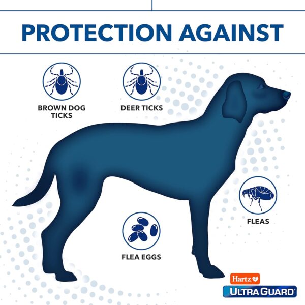 Hartz UltraGuard Dual Action Topical Flea & Tick Treatment for Dogs and Puppies - 31-60lbs, 3 Monthly Treatments - Image 4