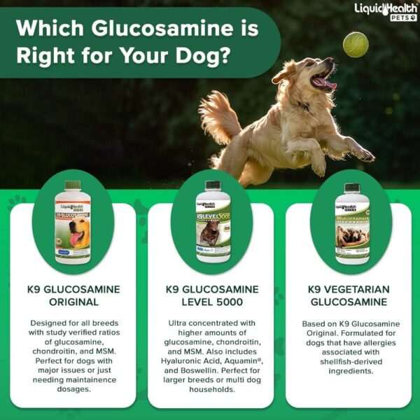 LIQUIDHEALTH 32 Oz K9 Vegetarian Liquid Glucosamine for All Dogs Canines - Chondroitin, MSM, Omega 3, Anti Oxidants Hyaluronic Acid – Joint Health, Dog Vitamins Hip Joint Juice, Joint Oil - Image 6