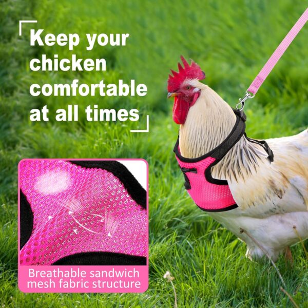 Adhafera Chicken Harness with Leash, Upgraded Double Adjustment Chicken Harness and Leash Set for Hens, Duck, Goose, Small Pet (Pink, L) - Image 4