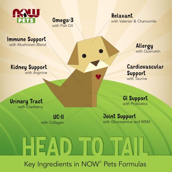 NOW Pet Health, Kidney Support Supplement, Formulated for Cats & Dogs, NASC Certified, Powder, 4.2-Ounce - Image 3