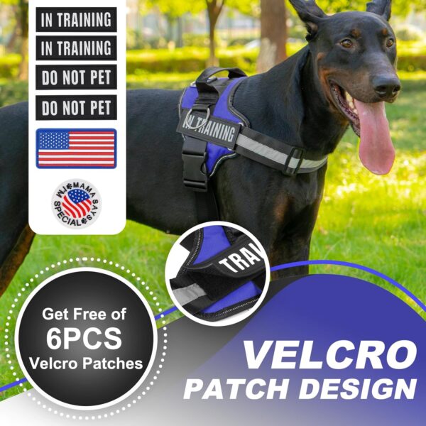 Essential Dog Harness with 3 Leash Clips - No-Pull, Adjustable, Comfortable Pet Vest Harness for Small to Large Dogs - Easy On, No Choke, Reflective, Padded Harness for Walking and Training - Image 2