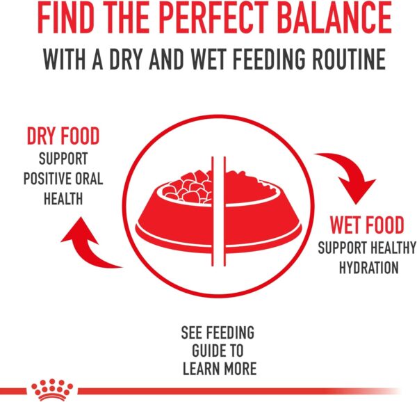 Royal Canin Adult Feline Health Nutrition Instinctive Thin Slices in Gravy Canned Wet Cat Food, 3 oz can (24-count) - Image 6