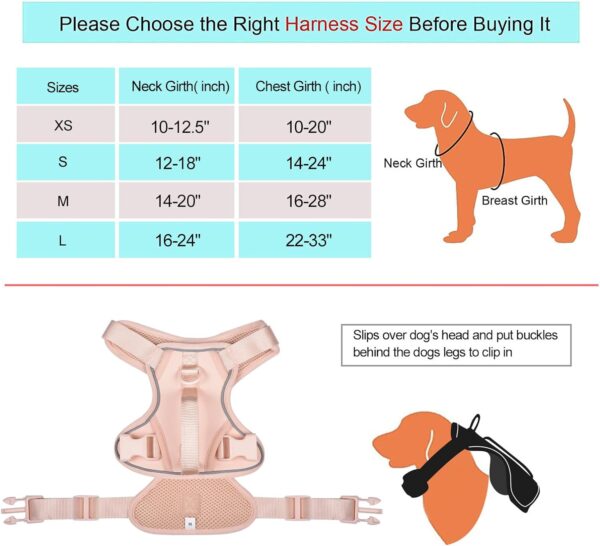 Petmolico Dog Harness for XS Dogs No Pull, Cute Dog Harness with Two Leash Clips and Soft Handle, Reflective Easy Walk Dog Harness with Leash, Pink XS - Image 2