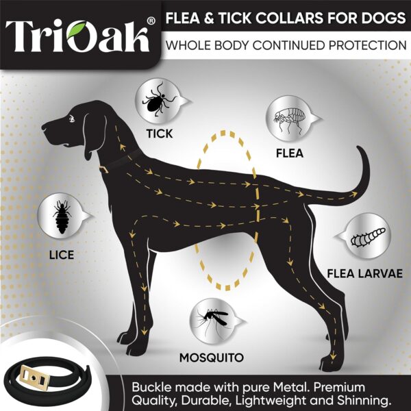 4 Pack Flea and Tick Collar for Dogs, 8-Month Protection Flea Collar for Dogs, Flea Tick Collar for Dogs, Dog Flea and Tick Collar -Black - Image 2