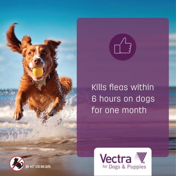 Vectra® for Dogs & Puppies Flea Treatment & Prevention for Medium Dogs (21-55 lbs.) 3-month supply - Image 3