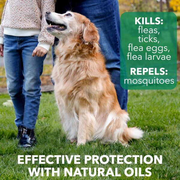 Hartz Nature’s Shield Flea & Tick Spray Treatment for Dogs, Natural and Effective Flea & Tick Prevention and Protection for Dogs with Cedarwood and Lemongrass Oil, 14 Ounces - Image 3