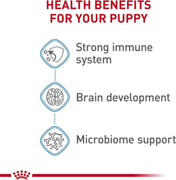 Royal Canin Size Health Nutrition X-Small Breed Dry Puppy Food, Supports Brain Development, Immune Support and Digestive Health, 3 lb Bag - Image 4