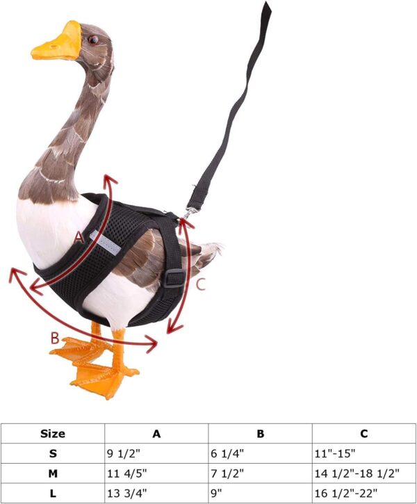 Adjustable Duck Harness with 4ft Matching Leash for Chicken Hen Pets Training Walking (L, Black) - Image 2