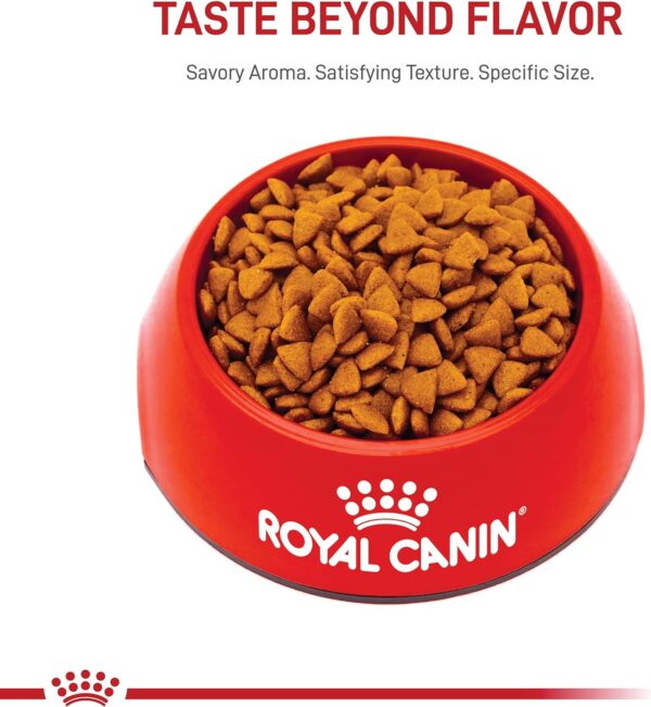 Royal Canin Size Health Nutrition Small Indoor Puppy Dry Dog Food, 2.5 lb bag - Image 9