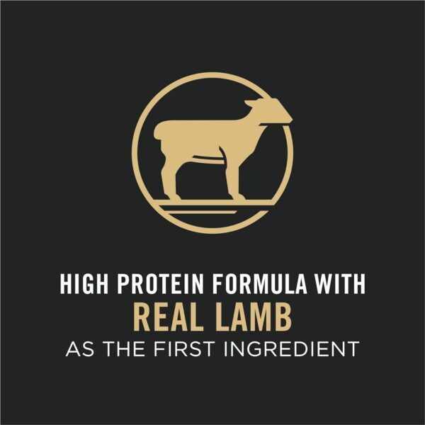 Purina Pro Plan High Protein, Small Bites Dog Food, SPORT 27/17 Lamb & Rice Formula - 6 lb. Bag - Image 4