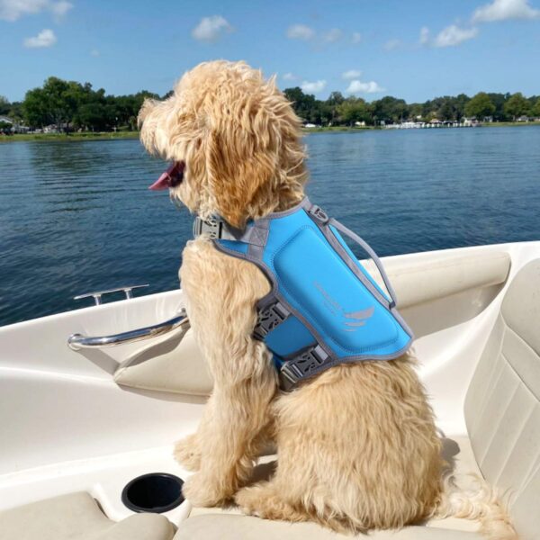 VIVAGLORY Lightweight Dog Life Jacket, Pet Life Preserver Life Vest Skin-Friendly Neoprene for Puppy Small Dogs with D-ring and Quick Release Buckle, Blue - Image 6