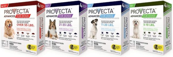 4 Doses Advanced for Dogs, Small/5-10 lb - Image 2