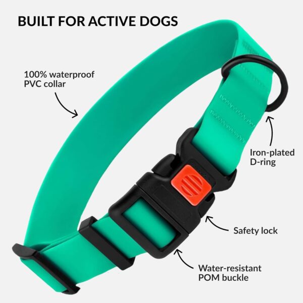 CollarDirect Adjustable Dog Collar Colorful Waterproof Pet Collars for Small Medium Large Dogs Puppy Pink Black Blue Mint Green Orange (Neck Fit 12"-16", Mint Green) - Image 2