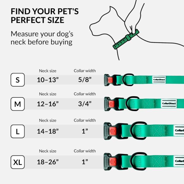 CollarDirect Adjustable Dog Collar Colorful Waterproof Pet Collars for Small Medium Large Dogs Puppy Pink Black Blue Mint Green Orange (Neck Fit 12"-16", Mint Green) - Image 5