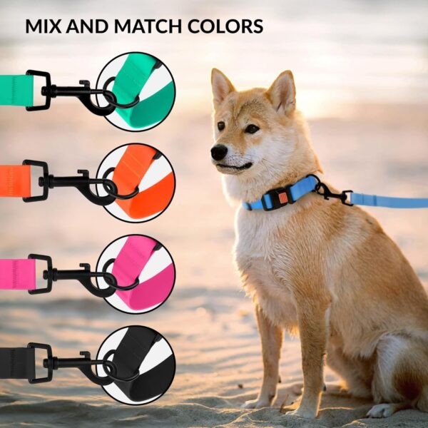 CollarDirect Adjustable Dog Collar Colorful Waterproof Pet Collars for Small Medium Large Dogs Puppy Pink Black Blue Mint Green Orange (Neck Fit 12"-16", Mint Green) - Image 6