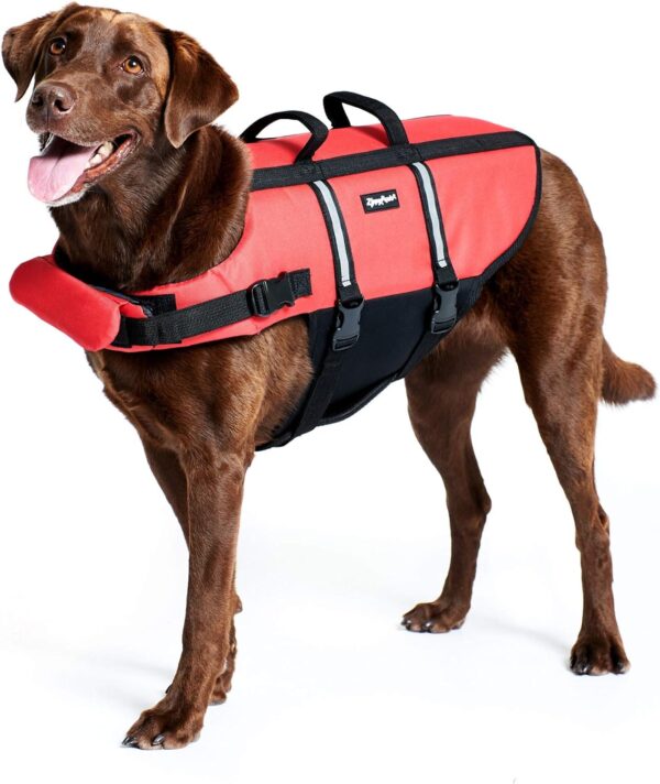 ZippyPaws Adventure Dog Lifejacket, Swimming Vest for Dogs & Puppies, Life Jacket for Swim Training Small Medium & Large Dogs - Red, Medium - Image 2