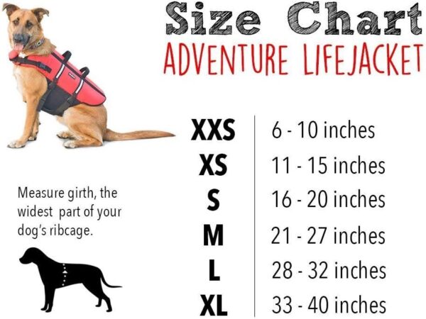 ZippyPaws Adventure Dog Lifejacket, Swimming Vest for Dogs & Puppies, Life Jacket for Swim Training Small Medium & Large Dogs - Red, Medium - Image 3