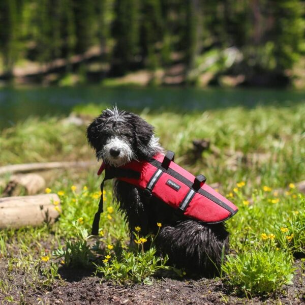 ZippyPaws Adventure Dog Lifejacket, Swimming Vest for Dogs & Puppies, Life Jacket for Swim Training Small Medium & Large Dogs - Red, Medium - Image 4