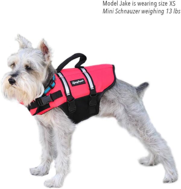 ZippyPaws Adventure Dog Lifejacket, Swimming Vest for Dogs & Puppies, Life Jacket for Swim Training Small Medium & Large Dogs - Red, Medium - Image 6