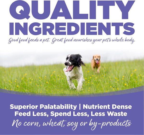 NutriSource Puppy Food, Made with Chicken Meal and Rice, Small Breed with Wholesome Grains, 15LB, Dry Dog Food - Image 3