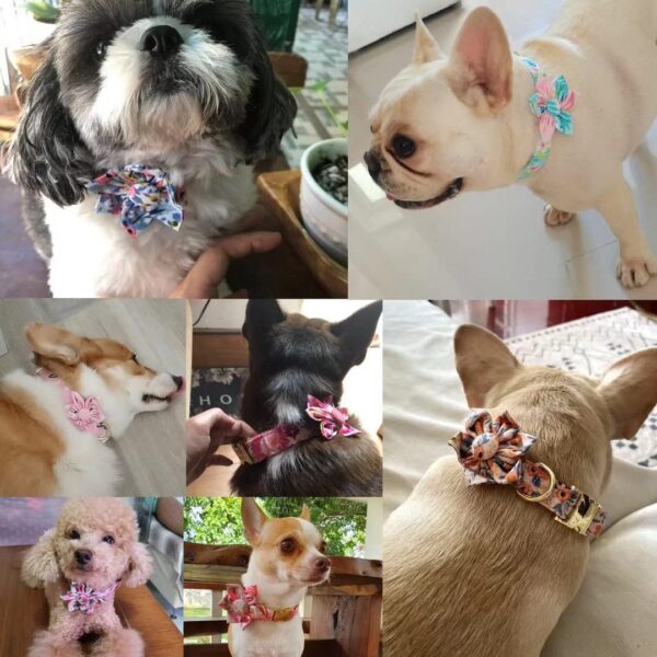 Beirui Cute Girl Dog Collars for Small Medium Large Dogs, Multiple Floral Patterns Female Pet Dog Collars with Flower for Wedding Holiday(M:Neck 13-22", Pink-5) - Image 7