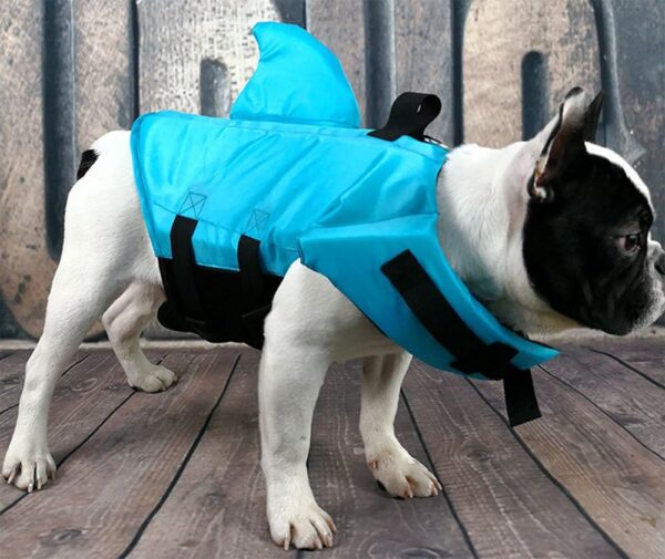 Dog Life Jacket- Preserver with Adjustable Belt, Pet Swimming Shark Jacket for Short Nose Dog,Upgrade Version (pug,Bulldog,Poodle,Bull Terrier) (M, Blue) - Image 3