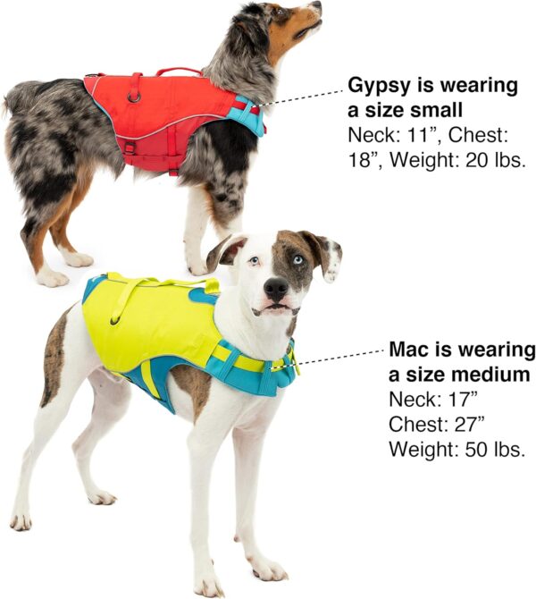 Kurgo Surf n’ Turf Dog Life Jacket, Dog Life Vest for Swimming, Floatation Vests for Dogs, Dog PFD, Reflective, Adjustable, for Small Medium Large Pets (Yellow/Blue, Small) - Image 6