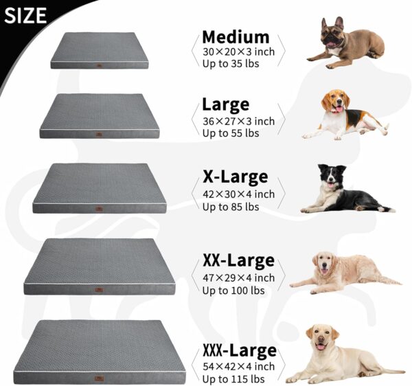 Dog Bed Medium Size Dog Beds, Orthopedic Dog Bed Waterproof & Washable Dog Bed W/Removable Pet Bed Cover, Medium Dog Bed W/Egg Crate Foam Support for Dogs Up to 35 Lbs - Image 5