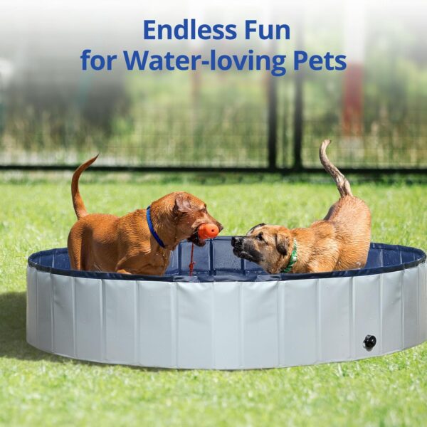 Foldable Dog Pool for Large Dogs, 63" Portable Kiddie Pool, Hard Plastic Swimming Pool & Bath Tub for Dogs & Kids, Indoor & Outdoor Pet Wading Pool - Image 2