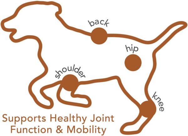 Vet's Best Hip & Joint Soft Chew Dog Supplements | Formulated with Glucosamine & Chondroitin to Support Dog Joint & Cartilage Health | 30 Day Supply - Image 6