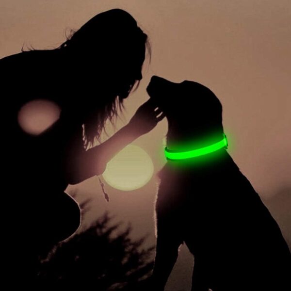 LED Dog Collar, USB Rechargeable Light Up Dog Collar Lights, Adjustable Comfortable Soft Mesh Safety Dog Collar for Small, Medium, Large Dogs(Large, Neon Green) - Image 8