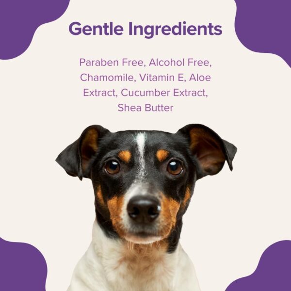 Stink! Plant Based Pet Wipes - Biodegradable - Dirt and Odor Control - Grooming Wipes for Easy Cleaning on Paws Body and Bum - Lavender Scented - 8" x 8" - 400 Count - Image 4