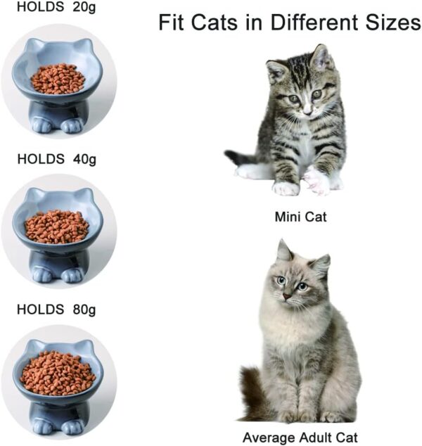 Nihow Elevated Cat/Dog Bowls: 5 Inch Ceramic Raised Cat Food & Water Bowl Set for Protecting Pet's Spine - Feeding & Watering Supplies for Pets - Elegant Gray (4.5 OZ /1 PC) - Image 3