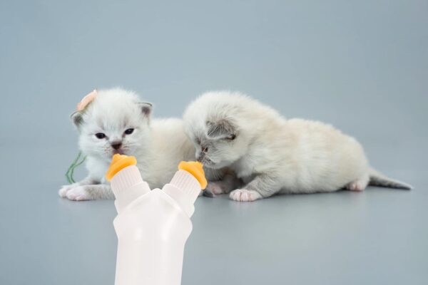 Pet Feeding Bottle with Two Silicone Nipple and Syringes for Puppy Dog Cat or Other Pets - Image 6