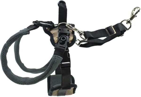 PetSafe CareLift Rear Support Harness - Lifting Aid with Handle and Shoulder Strap - Great for Pet Mobility and Older Dogs - Comfortable, Breathable Material - Easy to Adjust - Medium, Black - Image 2