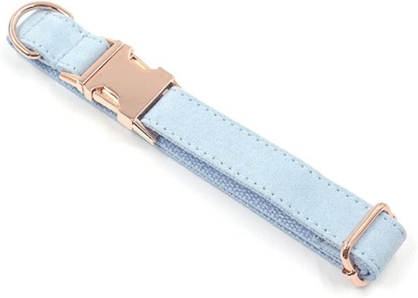 PETDURO Custom Dog Collar Personalized with Name Engraved Quick Release Rose Gold Metal Buckle for Large Medium Small Girl Dogs - Dog Leash and Bow Tie Available - Soft Comfy Velvet (Light Blue, S) - Image 4