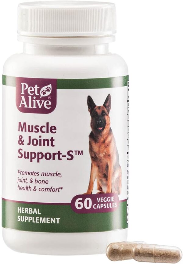 PetAlive Muscle & Joint Support-S for Bone and Joint Health and Comfort, 60 Caps - Image 2