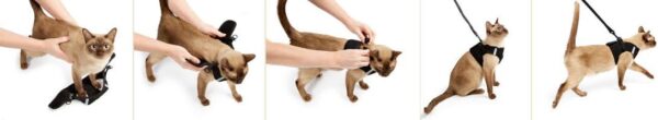 Metal Free Leash Harness - Designed for Small Pets who fit underseat of Airplane (SM) - Image 2