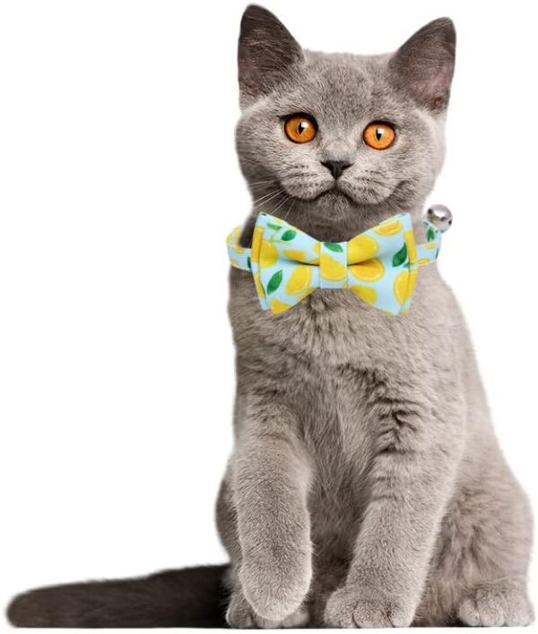 2-Pack Breakaway Cat Collars with Removable Double-Layer Bow Tie and Bell for Boy and Girl Cats,Safety Kitten Collars Suitable for Festivals and Daily. (Lemon&Pineapple) - Image 5