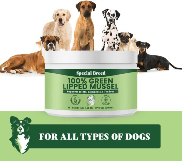 Green Lipped Mussels for Dogs & Cats - Premium Joint Supplement Powder for HIPS, Joints, and Muscles (150 Grams, Up to 500 Servings) - Image 5