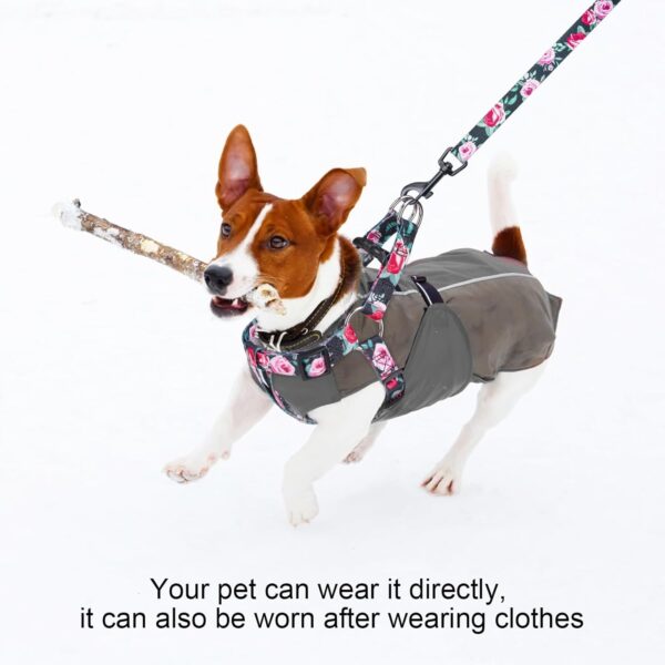 BEAUTYZOO No Pull Small Dog Harness and Leash Set, No Chock Puppy Step in Vest Harness Nylon Lightweight Neck&Chest Adjustable for Dogs Girls and Boy, Pet Harness for Small Medium Dogs - Image 6