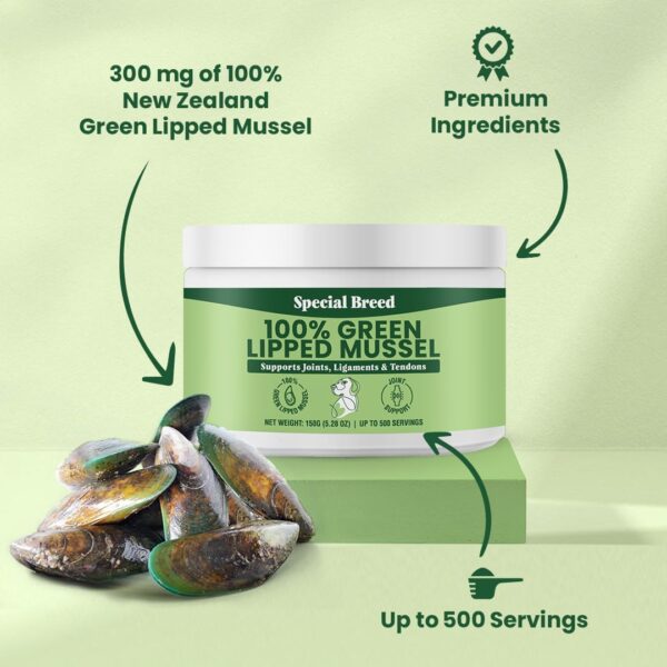 Green Lipped Mussels for Dogs & Cats - Premium Joint Supplement Powder for HIPS, Joints, and Muscles (150 Grams, Up to 500 Servings) - Image 2