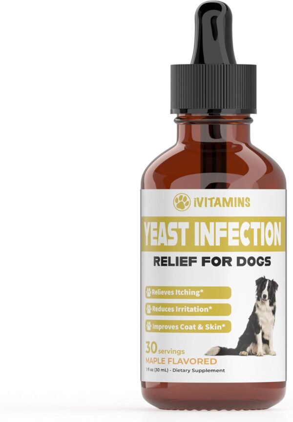 Natural Yeast Infection Treatment for Dogs | Helps to Support Itch Relief, Inflammation Relief & More | Dog Ear Infection Treatment | Dog Itch Relief | Dog Yeast Ear Infection Treatment | Maple Flavor