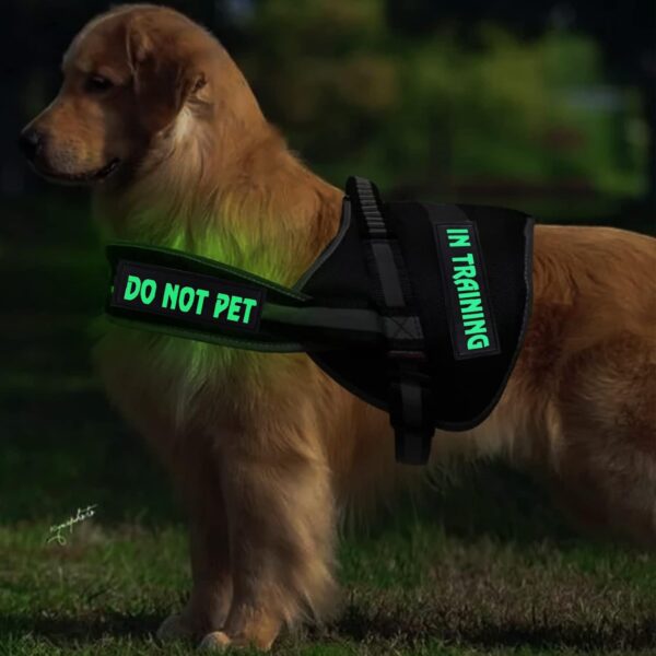 4 Pcs DO NOT PET Dog Harness Patches with Hook Backing, in TRAINING Dog Patch Tactical Dog in Training Harness Reflective and Removable Tags, Dog Patches for Harness (6.2 X 1.9) Inch - Image 5