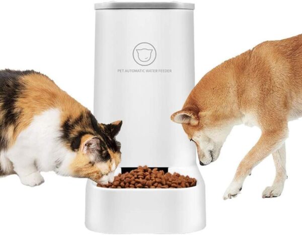 XhuangTech Automatic Feeder Set, 1-Gallon Water Dispenser and 2.1kg Pet Food Feeder, Small Pet Waterer and Feeder, Self-Dispensing, Polypropylene Material, For Cats and Dogs