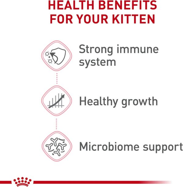 Royal Canin Feline Health Nutrition Dry Kitten Food, Supports Digestive Health, Immune Support and Healthy Energy, 3 lb Bag - Image 4