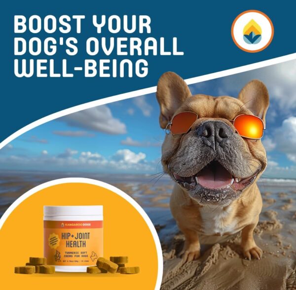 Hip + Joint Health Turmeric Soft Chews - Dog Supplement Made with Organic Turmeric - Supports Mobility, Immune System, Heart Health, May Reduce Joint Pain & Inflammation - 35 Treats - Image 5