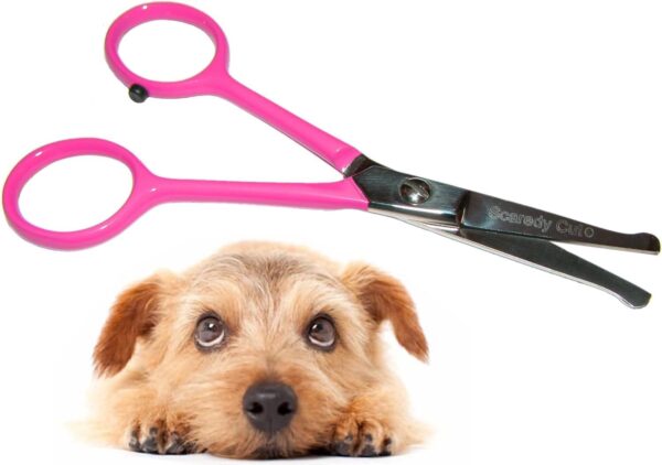 Tiny Trim 4.5" Ball-Tipped Scissor for Dog, Cat and all Pet Grooming - Ear, Nose, Face & Paw - Scaredy Cut's small Safety Scissor