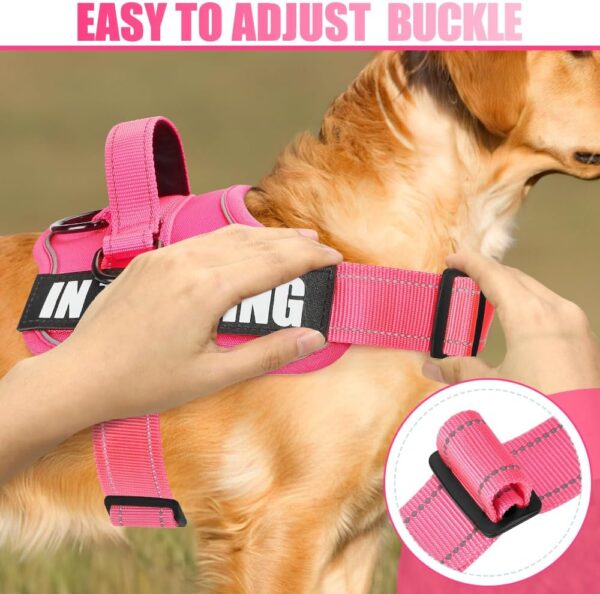 Dog Vest Harness and Leash Set, Animire Reflective Service Dog Vest with 10 Patches, 3 Rings No Choke Pet Vest for Leash Placement, in Training Dog Harness for Small Medium Large Dogs(Hot Pink,M) - Image 4